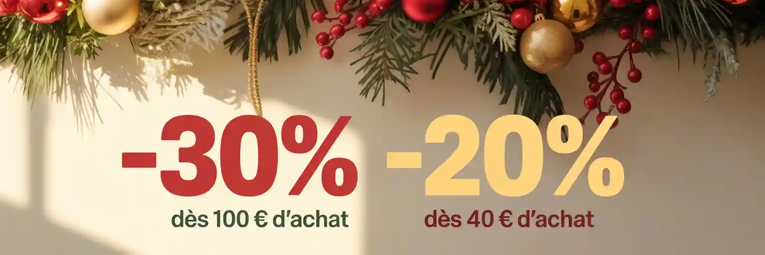 bannière Noël desktop